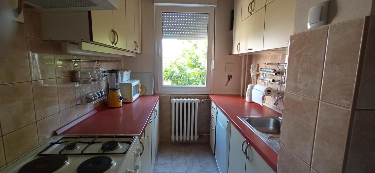 נובי סאד Branysol Apartman מראה חיצוני תמונה