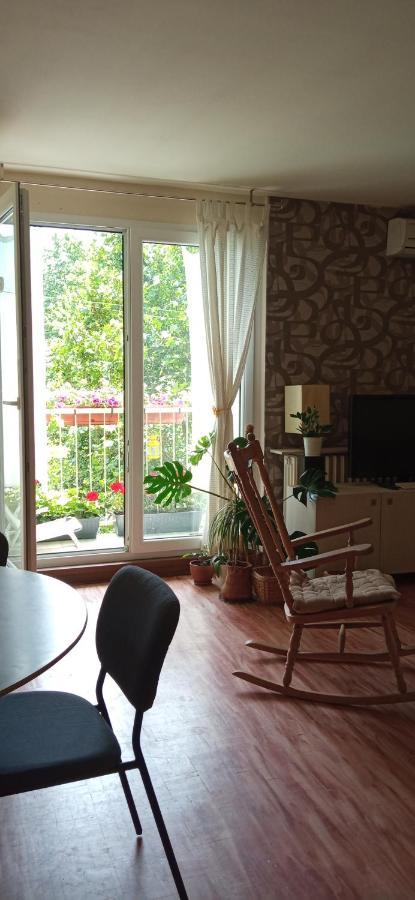 נובי סאד Branysol Apartman מראה חיצוני תמונה